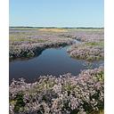 A la découverte de la Baie d'Authie (Enfant -6ans)